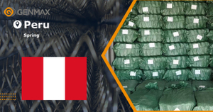 peru-spring-mattress-accessories.jpg