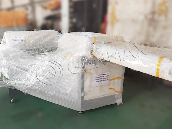 genmax-mattress packing machine2 (2)