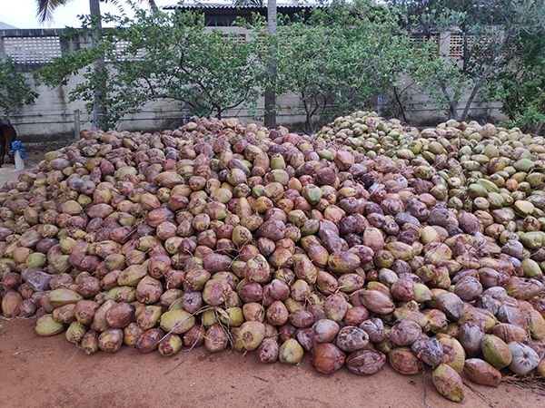 genmax mattress machine 18